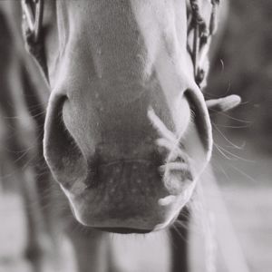 Meet your Posher, Suzanne